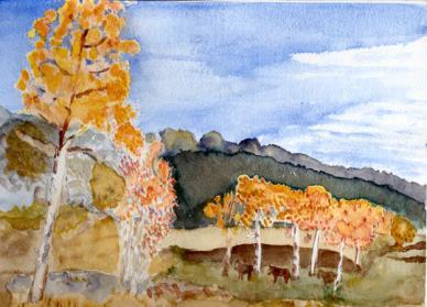Scene frome the Rocky Mountains
